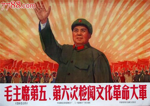 弗吉尼亚州驾照作假